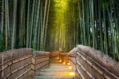 Obraz Las bambusowy Arashiyama