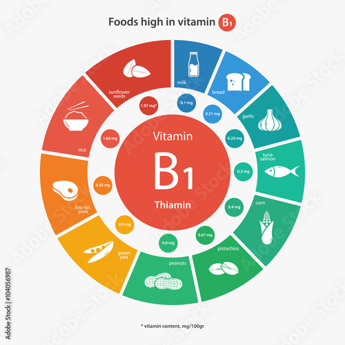 Foods high in vitamin B1. Vitamin content of foods. Healthy lifestyle and diet vector illustration infographics with food icons.