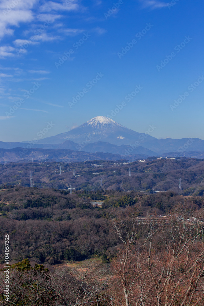 湘南平付近から見た富士山