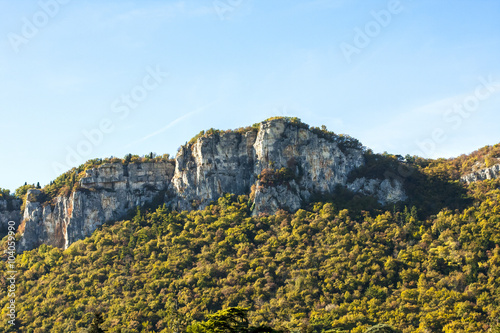 Mountain rock and forest in Affi  Verona  Italy