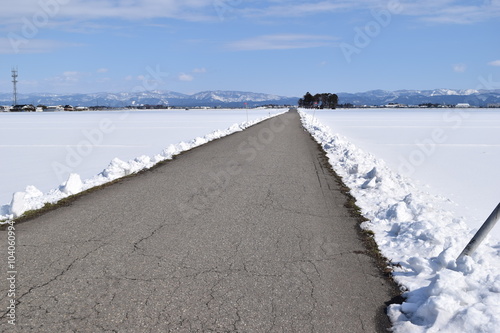雪国の道路／雪国の山形県で、降雪後の道路を撮影した写真です。 