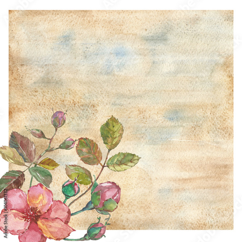 Watercolor background  whith pink flower