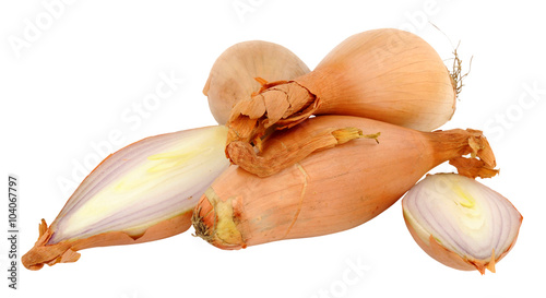 Echalion Shallots photo