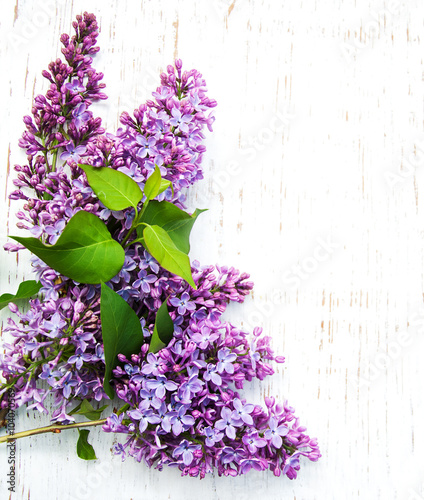 Lilac flowers