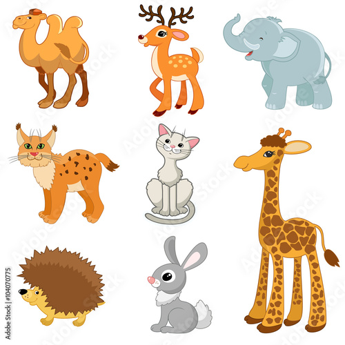 elephant, lynx, cat, giraffe, hedgehog, hare, camel, deer