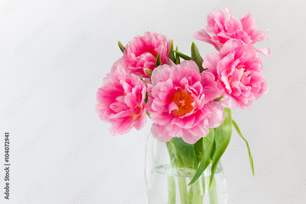 Pink tulips in a glass jar Pink tulips in a glass jar