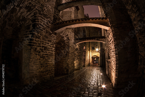 Katariina kaik (St. Catherine's Passage) - half-hidden walkway in old town of Tallinn, Estonia © Shchipkova Elena