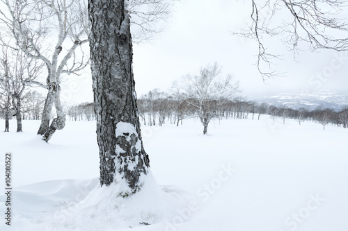 洞爺湖 高原の雪景色