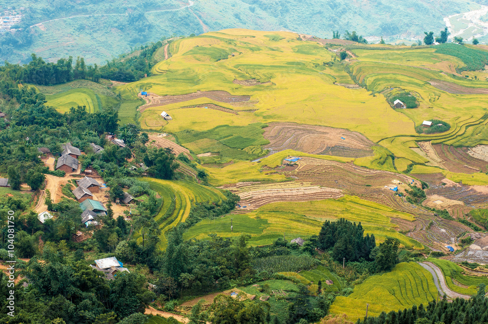 The village beside terraced rice paddy in Lao Cai province of north Vietnam
