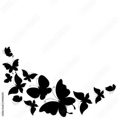 butterflies design