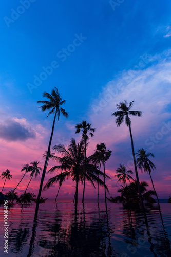 Fototapeta Naklejka Na Ścianę i Meble -  Tall coconut palm trees at twilight sky reflected in water