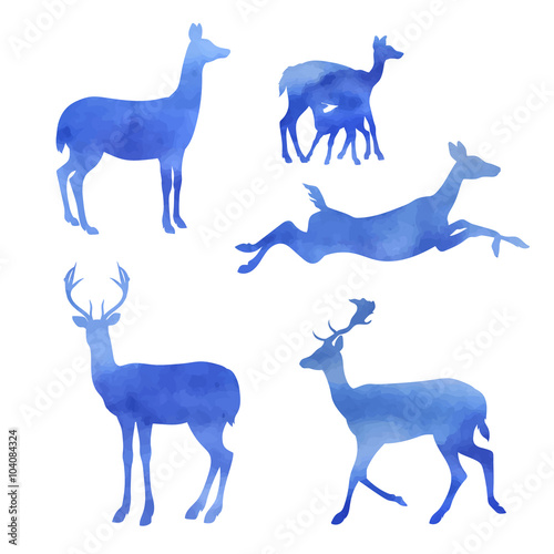 Set of watercolor doe