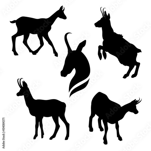 Chamois set vector photo