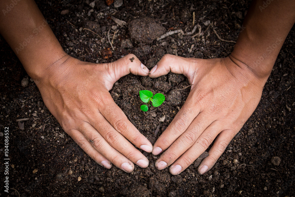 Preserving trees natural treatments be done with two hands. Preserving trees natural treatments be done with two hands.