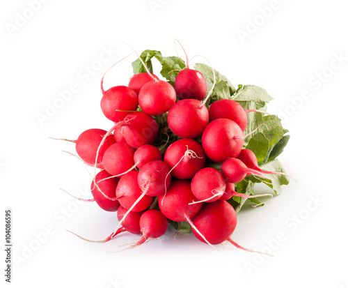 Fresh red radish