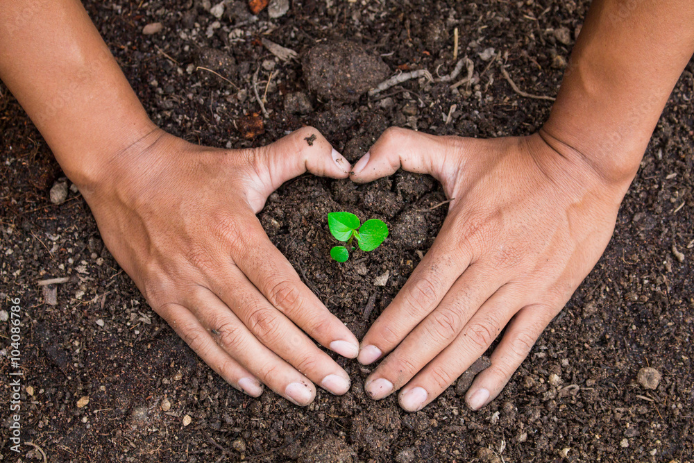 Preserving trees natural treatments be done with two hands. Preserving trees natural treatments be done with two hands.