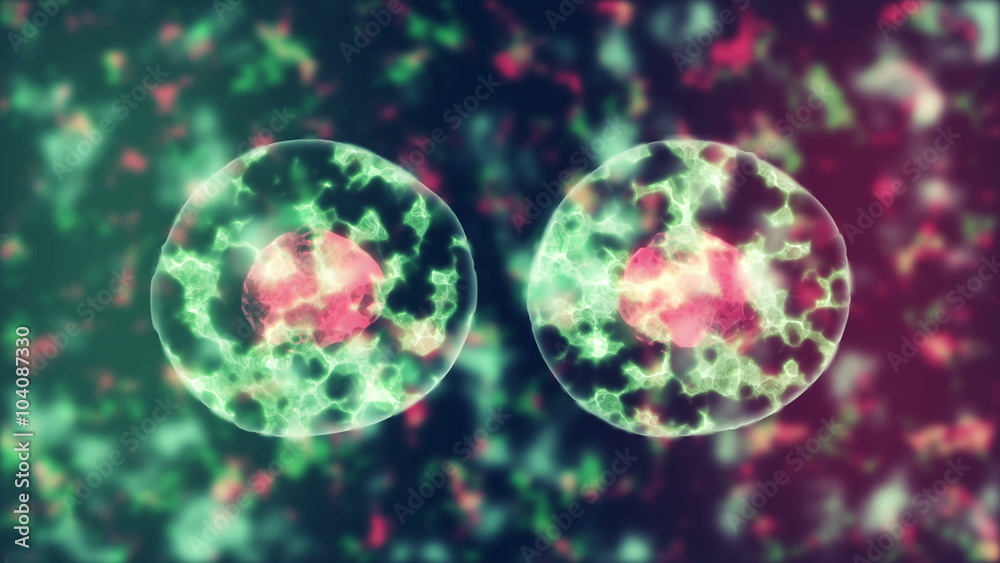 virus attack the leukocyte, viruses attacking cells or bacterias under microscope full hd and 4k. Medical Concept. Diseases Concept.