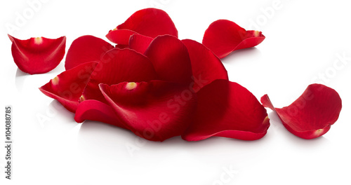 Fototapeta Naklejka Na Ścianę i Meble -  Petals of red rose