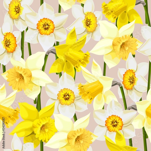 Seamless white and yellow daffodils