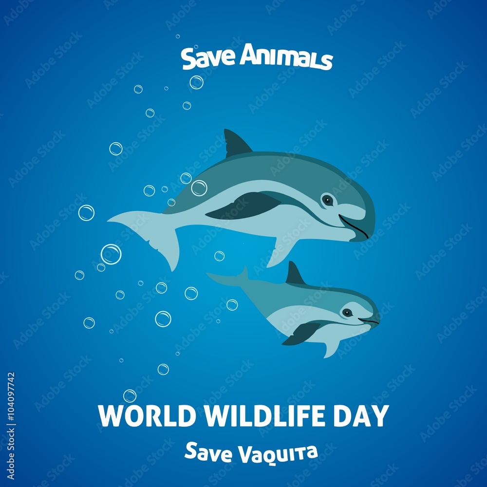 Fototapeta premium Save animals vaquita world wildlife day
