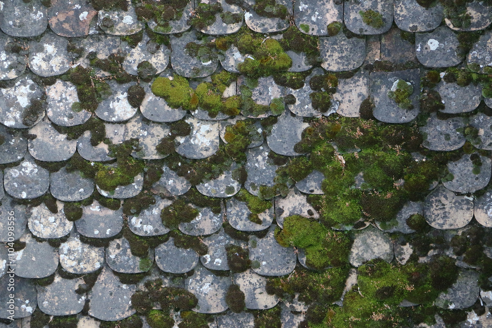 Old gray stone roof covered with moss Old gray stone roof covered with moss