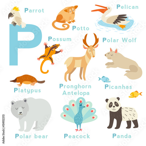 P letter animals set. English alphabet. Vector illustration  isolated on white background