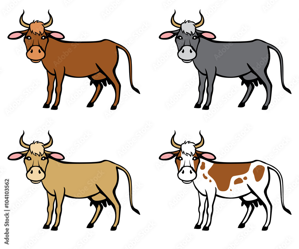 Spot, red, brown, black cows set