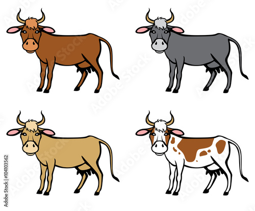 Spot, red, brown, black cows set