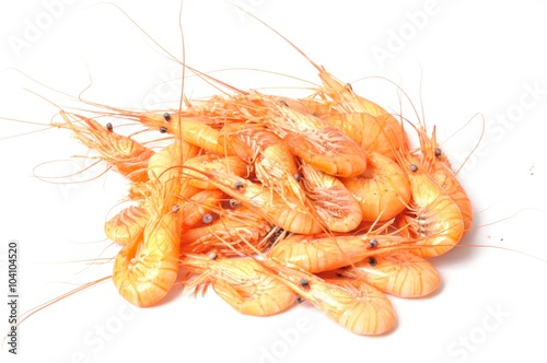 prawn Shrimp © Heliosphile
