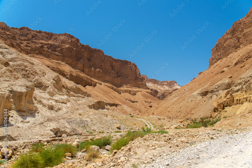 Masada