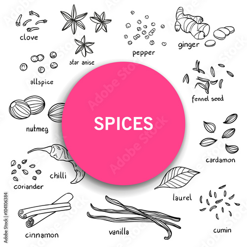 Vector Illustration of Hand Drawn Spices