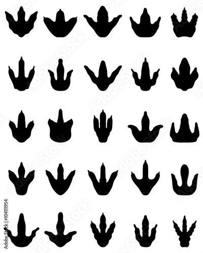Black different footprints of dinosaurs, vector