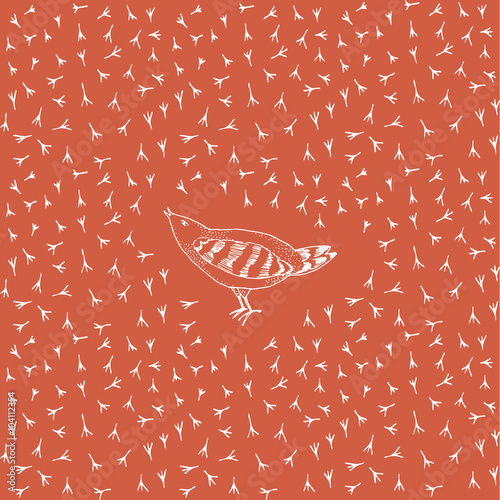Hand drawn bird and bird paws pattern seamless in vector.