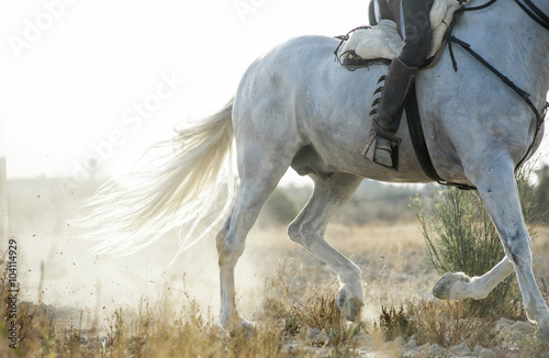 detail of running spanish horse and rider