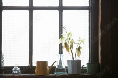 Wallpaper Mural 窓際 Torontodigital.ca