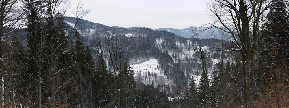 panorama winter landscape with trees, hills and panorama winter landscape with trees, hills and snow
