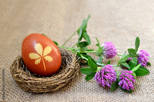  Easter egg naturally dyed  with onion skins. Easter egg in nest and red clovers 