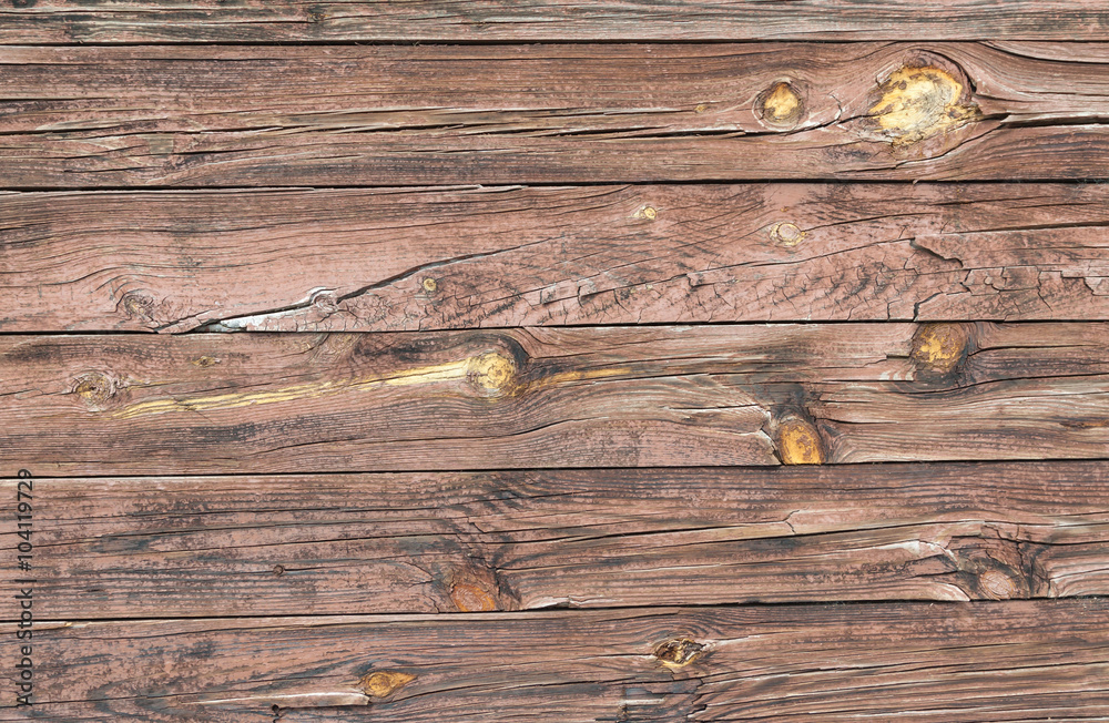 Wood grain bark texture Wood grain bark texture