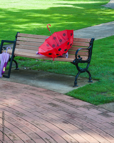 Park bench in the summer time