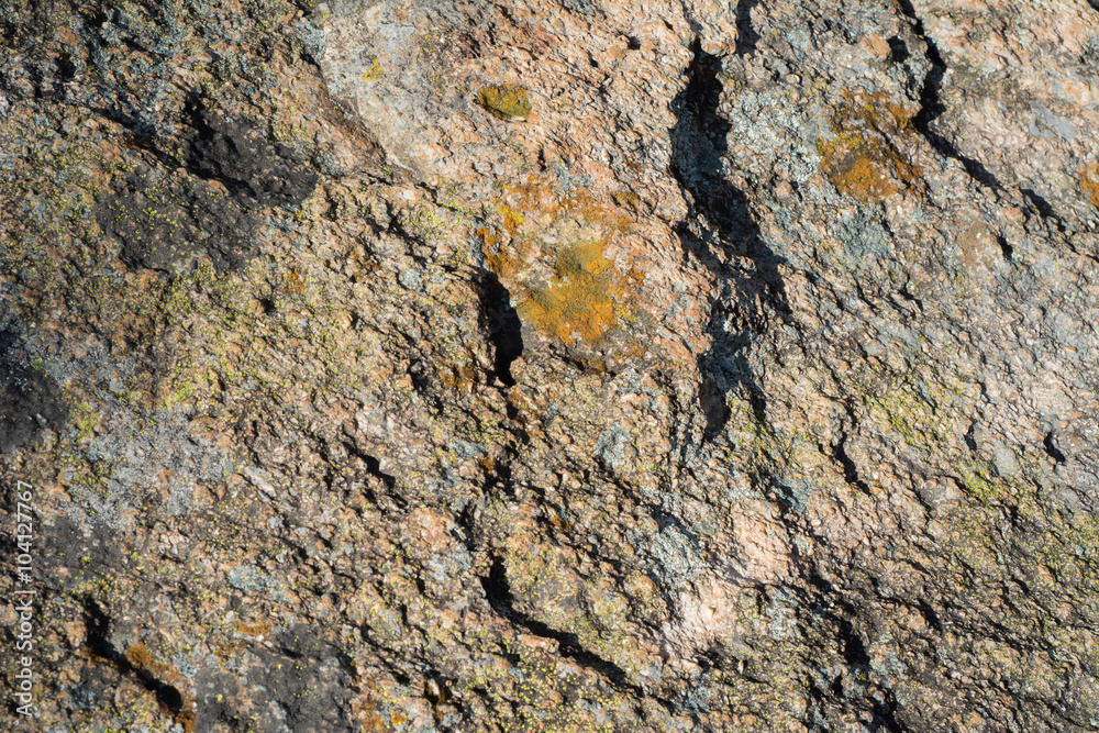 Grietas de una roca de material fuerte.