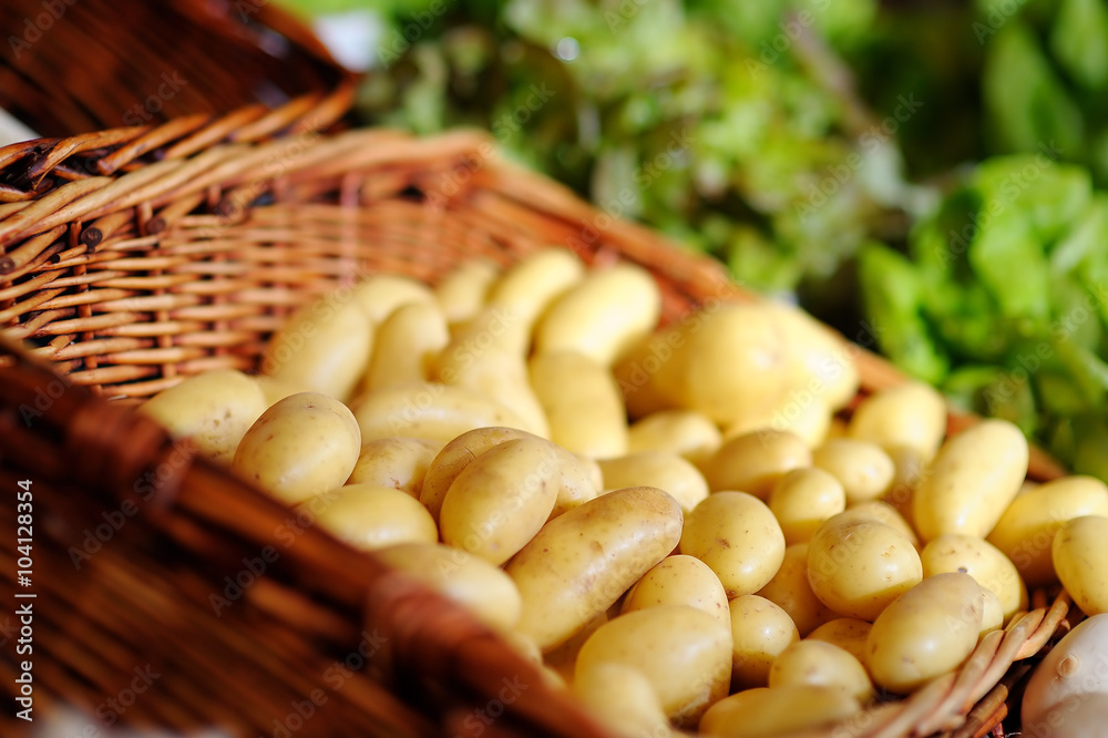 Fresh bio potatoes on farmer agricultural market Fresh bio potatoes on farmer agricultural market