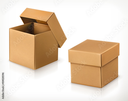 Cardboard box, vector