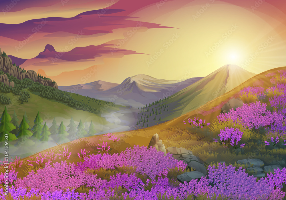 Lavender, summer evening landscape, vector background Lavender, summer evening landscape, vector background