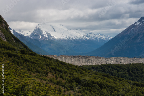 southern beech forest in Los Glaciares National Park © Patrik Stedrak
