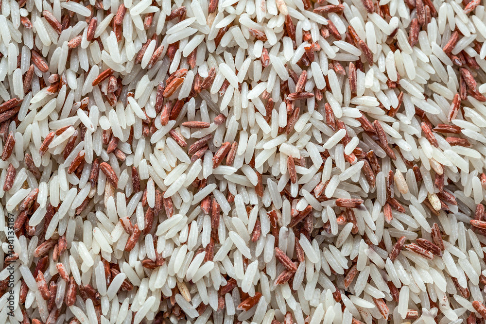 Destroyed Rice Brown Rice, destroyed by Red flour beetle, science names