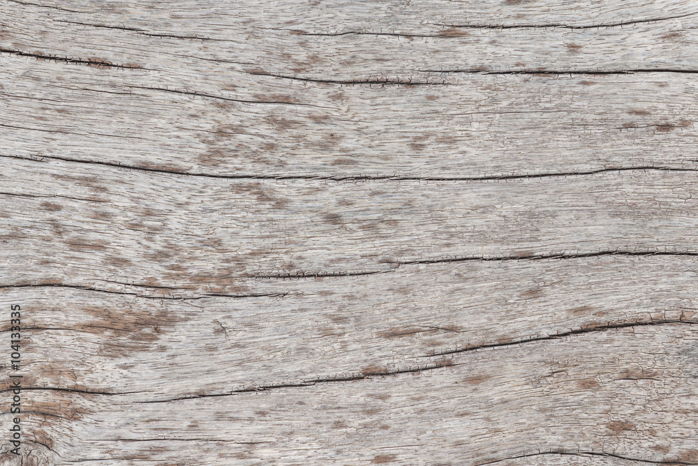 Fototapeta premium Wooden planks wall texture abstract for background
