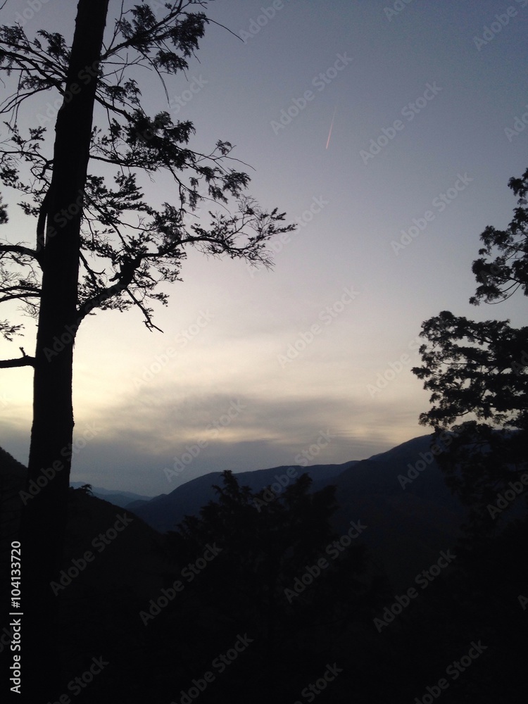 evening mountain of okutama,japan