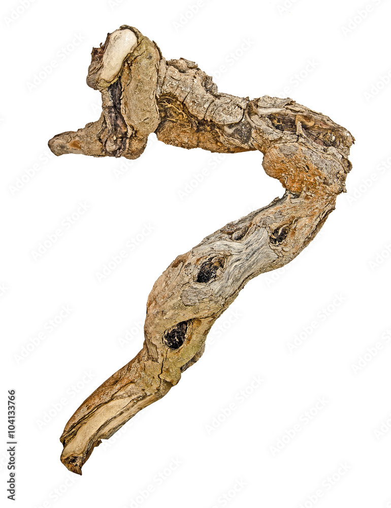 Naklejka premium close up of dry branch