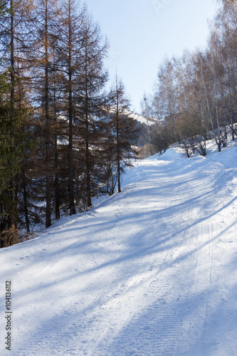 ski trail in the mountains among the trees © korvit