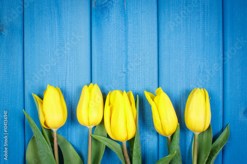 Fototapeta Naklejka Na Ścianę i Meble -  Bouquet of fresh tulips on blue wooden background, copy space for text
